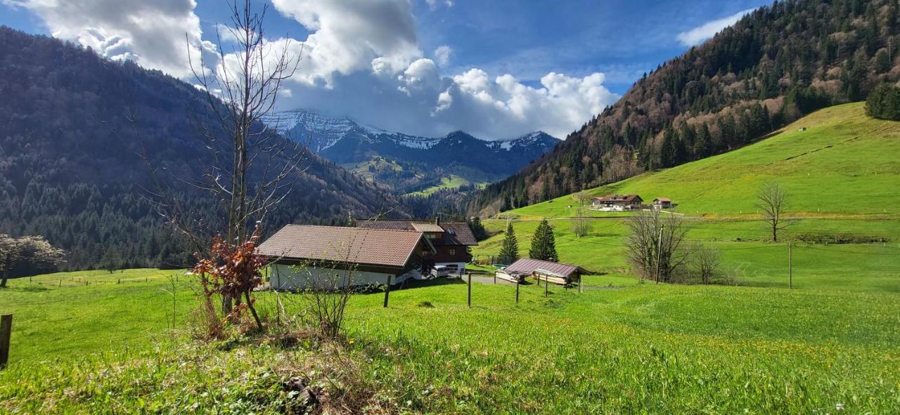 Fewo Allgaeuliebe Mit Wlan Oberstaufen Steibis 外观 照片